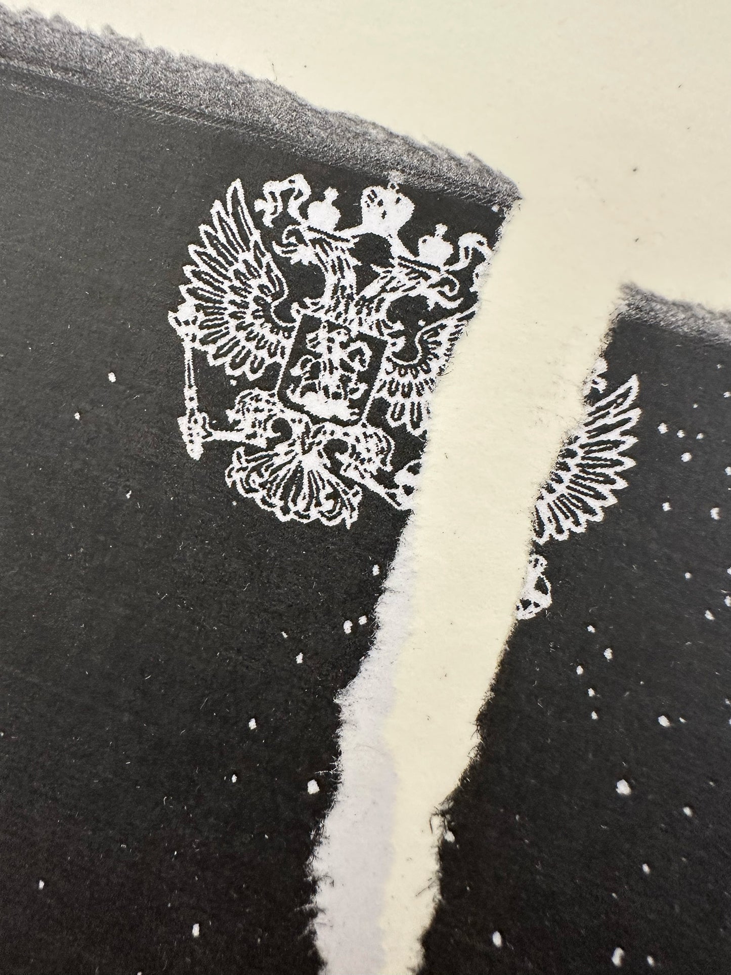 Arrest Diptych