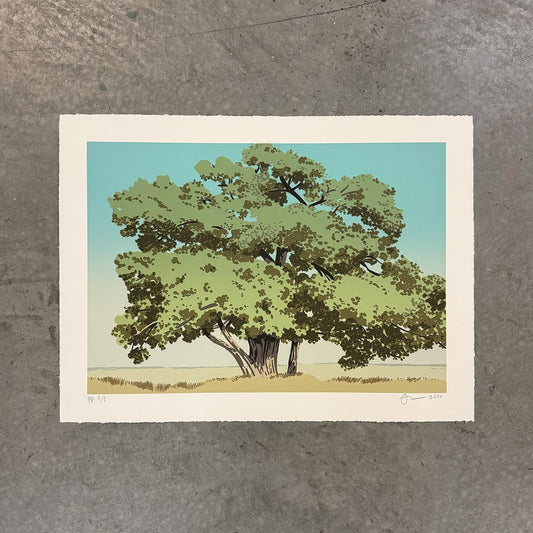Cottonwood (Proof) (Archive)