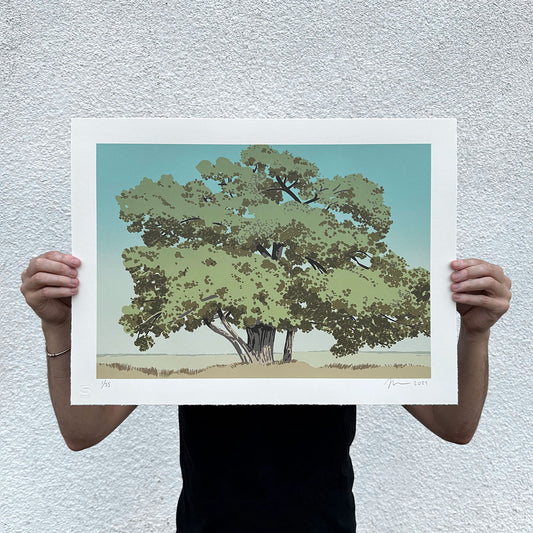 Cottonwood