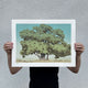 A photo of a person holding an art print depicting a cottonwood tree set against a summer sky